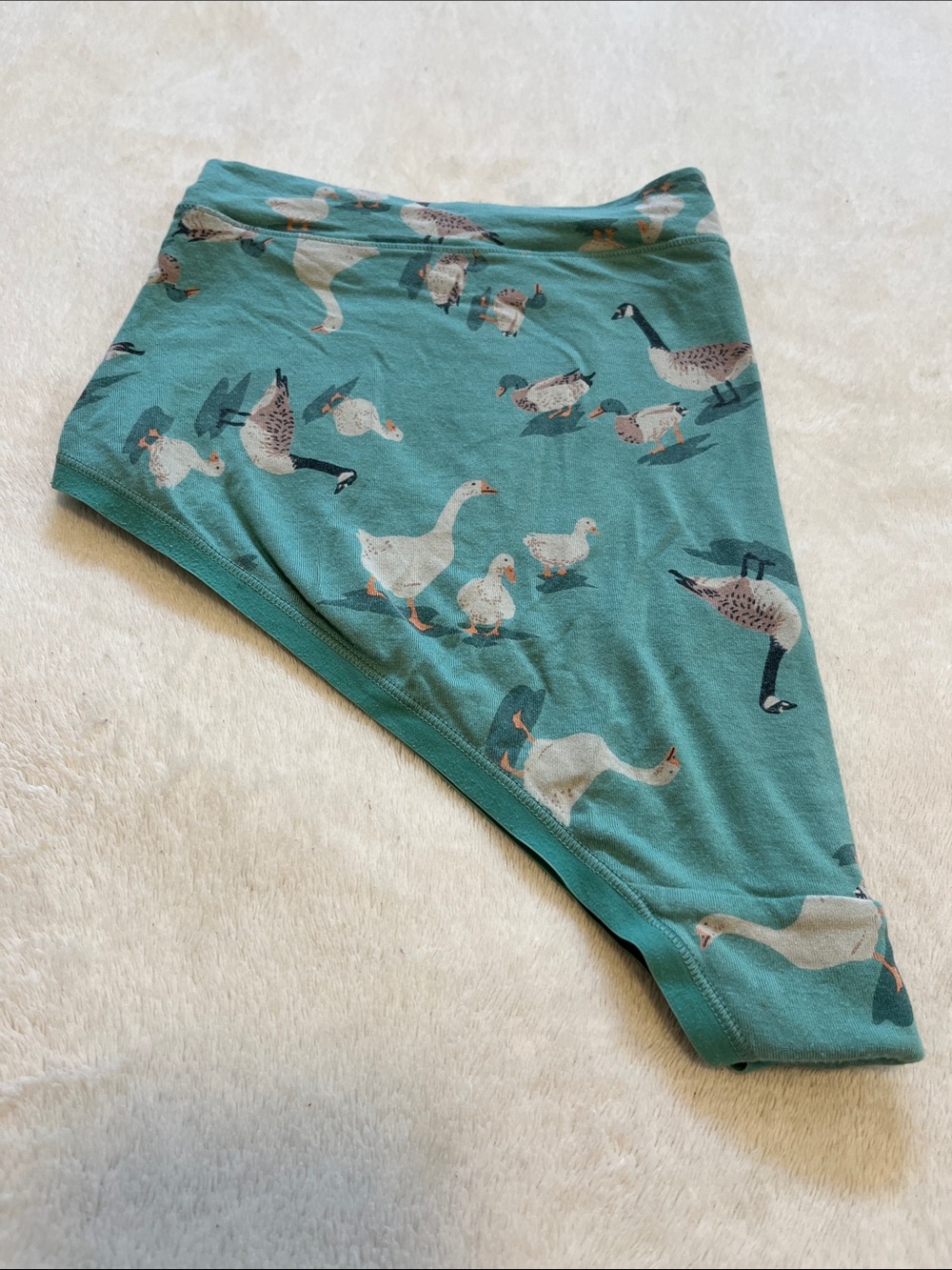 Duluth Trading Co Teal Goose & Duck Print Hipster Panties